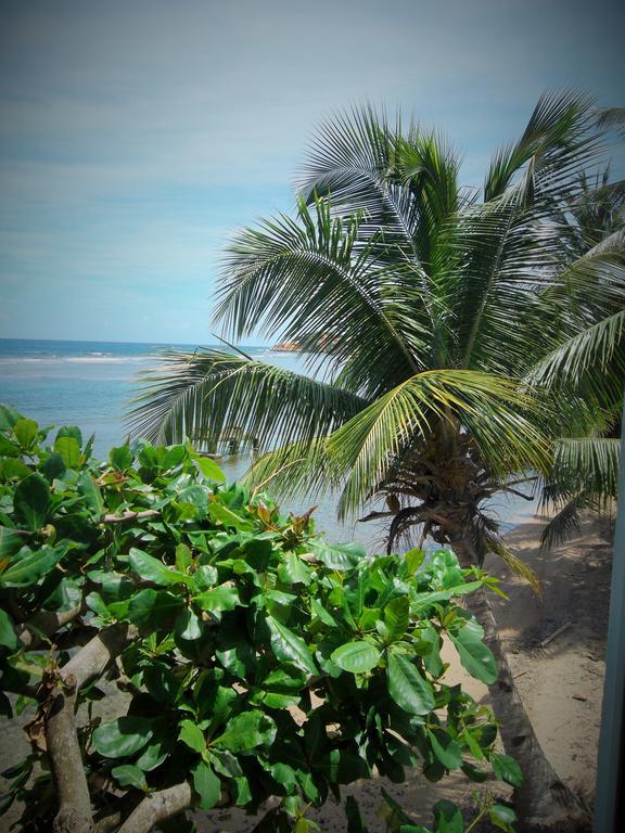 Calibishie Sandbar Exterior photo